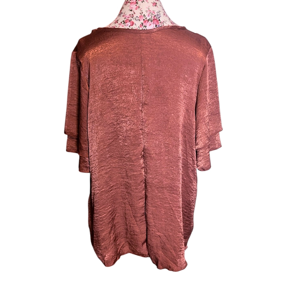 Minette Rust V-Neck Blouse - Picture 2 of 3